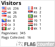 Flag Counter