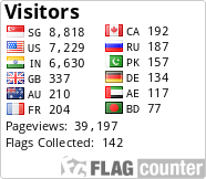 Flag Counter