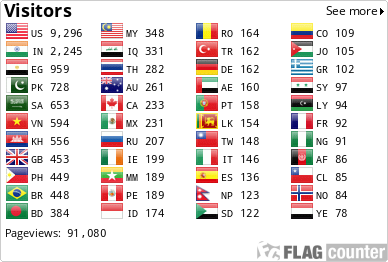 Flag Counter