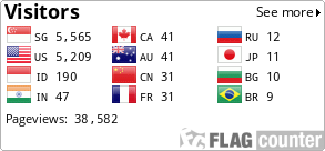 Flag Counter