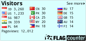 Flag Counter