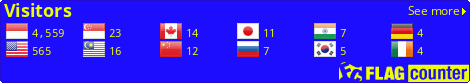 Flag Counter
