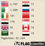 Flag Counter